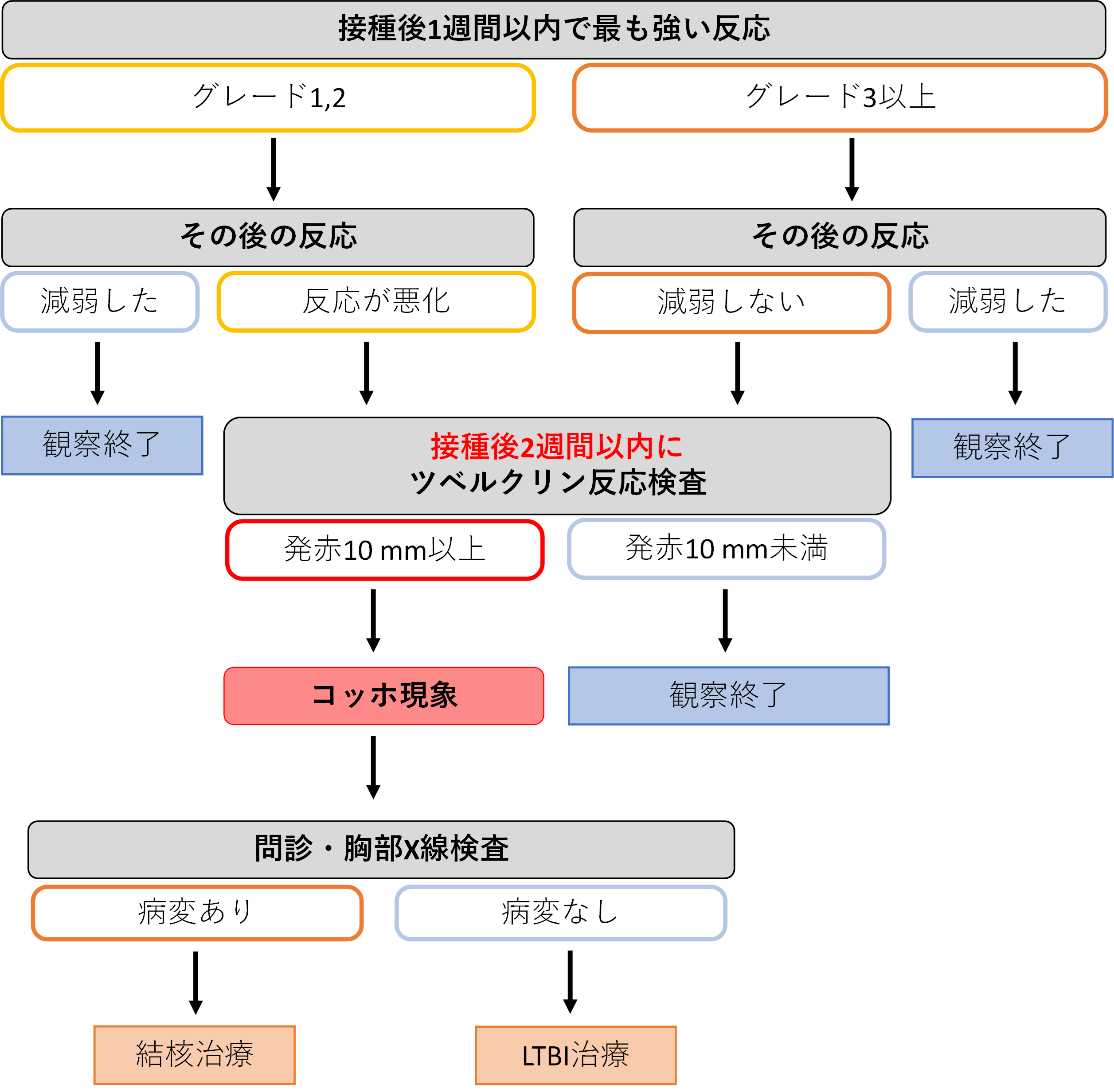 gワクチン接種の実際 日本ビーシージー製造株式会社 Japan g Laboratory